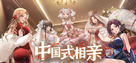 中国式相亲/Matchmaking Inc.